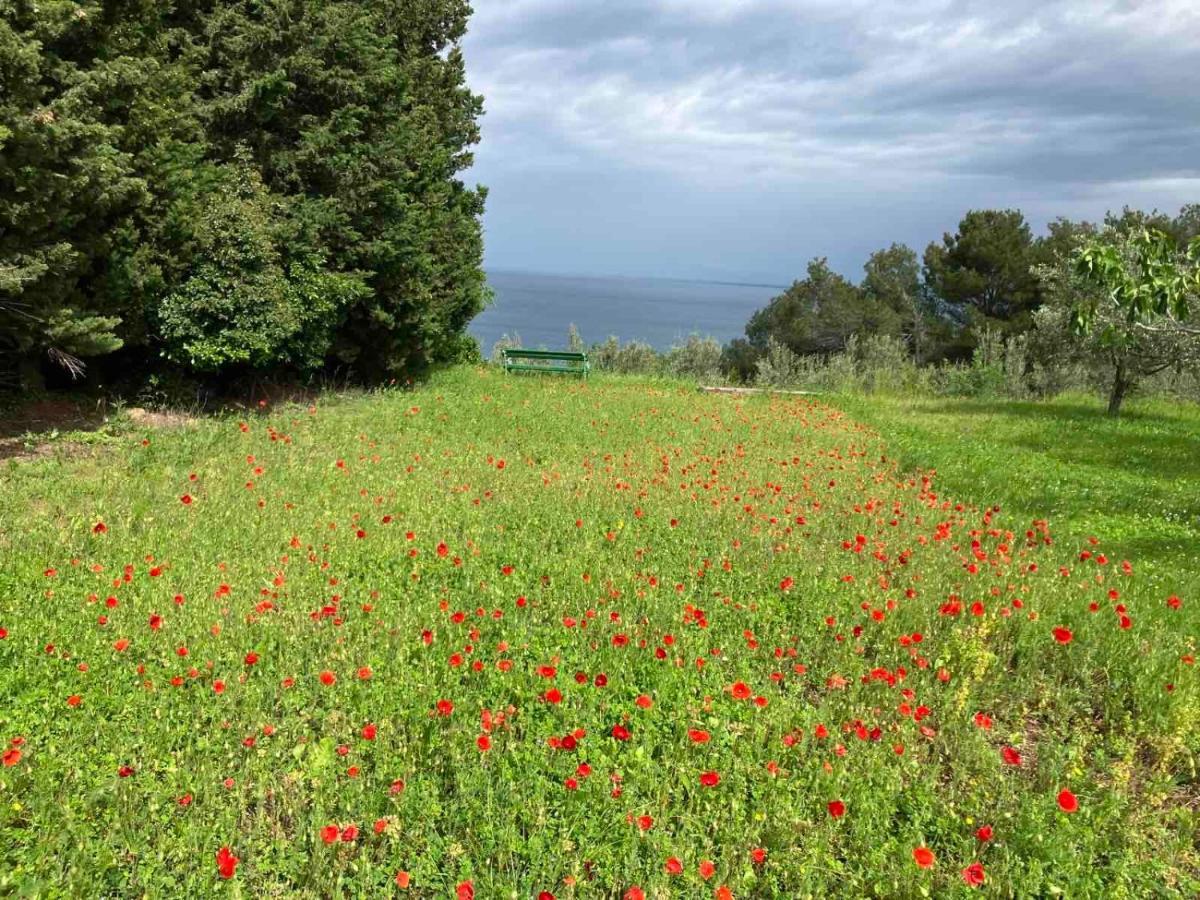 Istrian Green House Portorož Exteriér fotografie