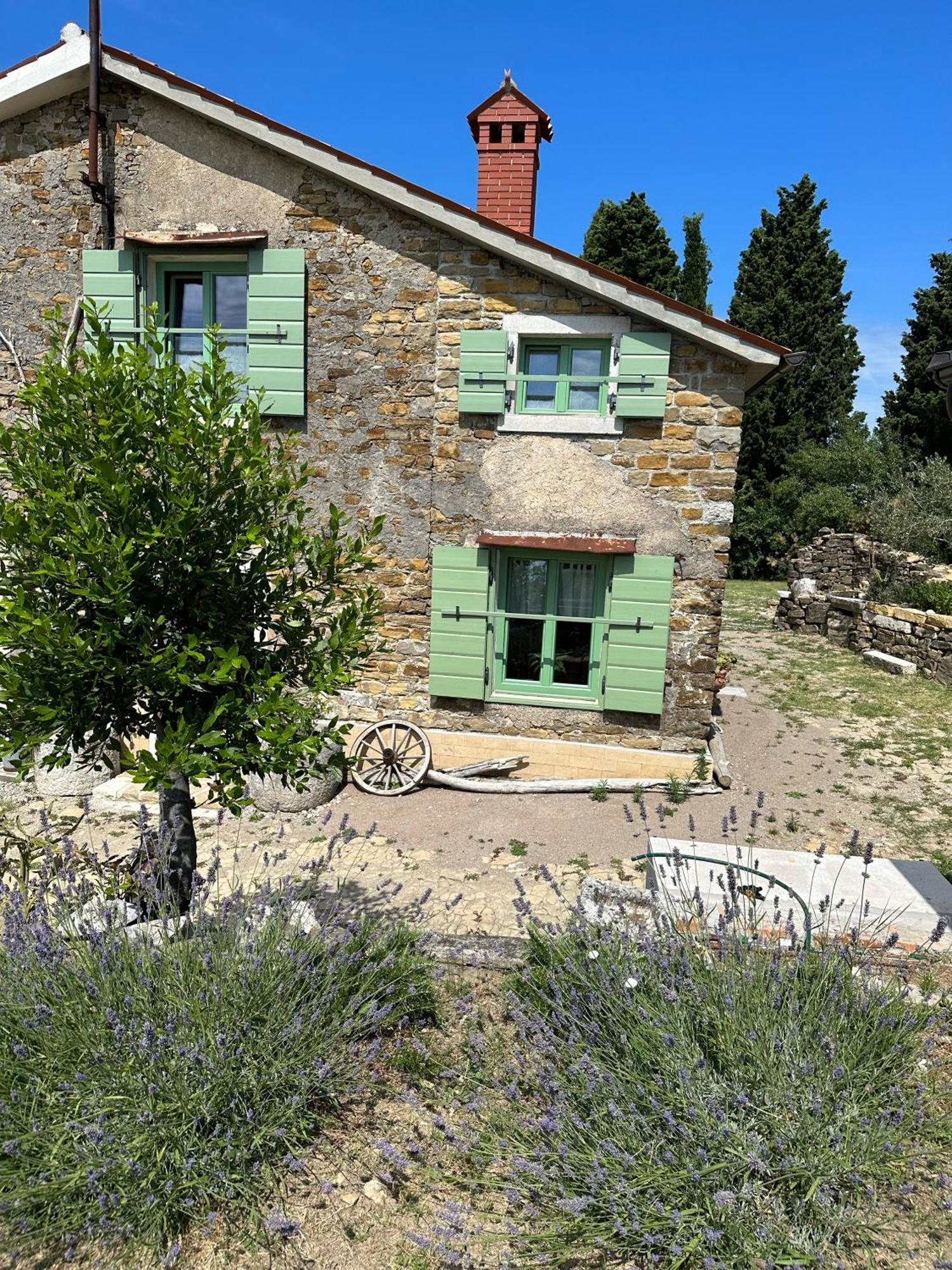 Istrian Green House Portorož Exteriér fotografie